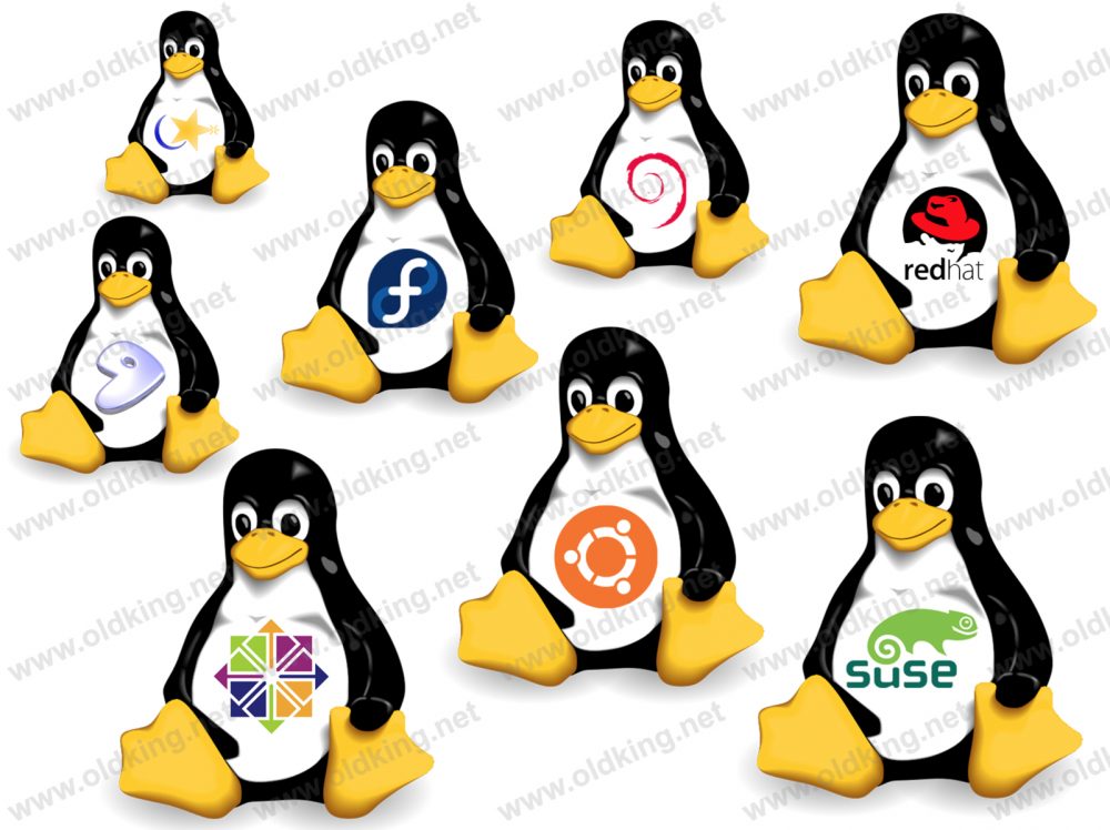 Linux 常用配置及硬件检测命令 Linux 第1张-老鬼的博客(OldKing.net) Linux 常用配置及硬件检测命令
